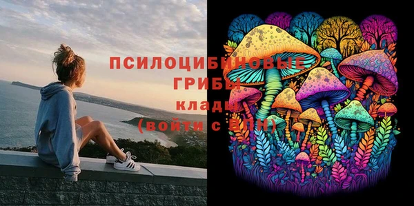 кокаин премиум Богородицк