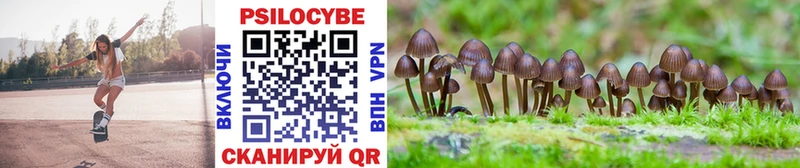 Галлюциногенные грибы Cubensis  дарнет шоп  hydra ссылка  Демидов 